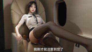 [3D动画] 黑丝美腿乘务长中文配音 [1.78G]