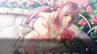 [ADVAI智能翻译]夜勤病栋REMAKE 夜勤病棟リメイク[电脑8.44G]