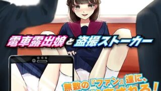 【RPG/偷拍】電車露出娘[1.15g夸克]