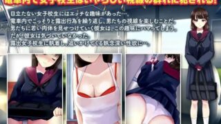 【RPG/偷拍】電車露出娘[1.15g夸克]