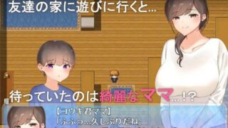 (PC/RPG)[RJ289671][ねむみえぶりでー] 少年と友達のママ ナイショの『仲良しごっこ』[611M](FM/OD/BD/夸克/UC/迅雷)