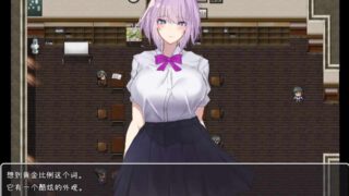 [日系RPG/汉化/动态] NPC奸~对无抵抗美少女的随意中出 PC+安卓汉化版 [多空/1.1G/BD]
