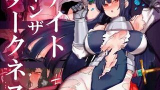 [RPG汉化]黑暗中的骑士之夜～黄昏国的女骑士蕾希娅～ナイトインザダークネス～薄暮れの国の女騎士レイシア～内嵌AI汉化版