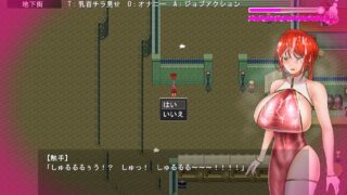 【日式RPG/汉化/哦齁向】 骑红士斯卡蕾特 寻找传说药草 騎紅士スカーレット～伝説の薬草を求めて ddtzz汉化润色修复版 V1.05 【950M】