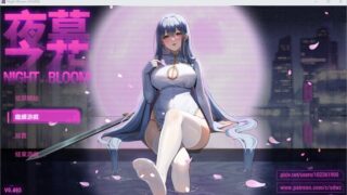【日系ARPG精品/官中/NTR/恶堕/PC+安卓joi】夜幕之花 Night Bloom Ver0.495 官方中文步兵版【1.2GB】